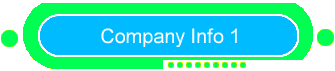 Company Info 1